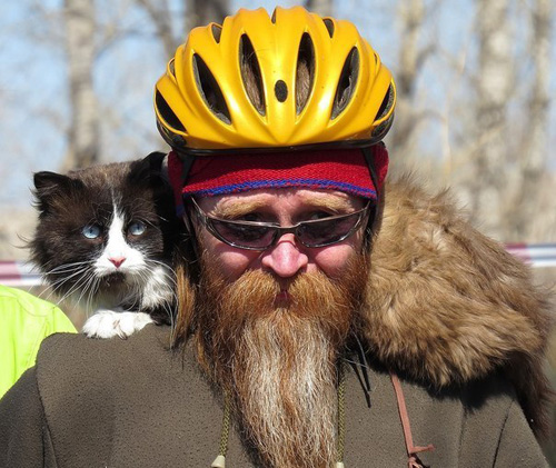 Велосипедист Володя и велосипедист кот