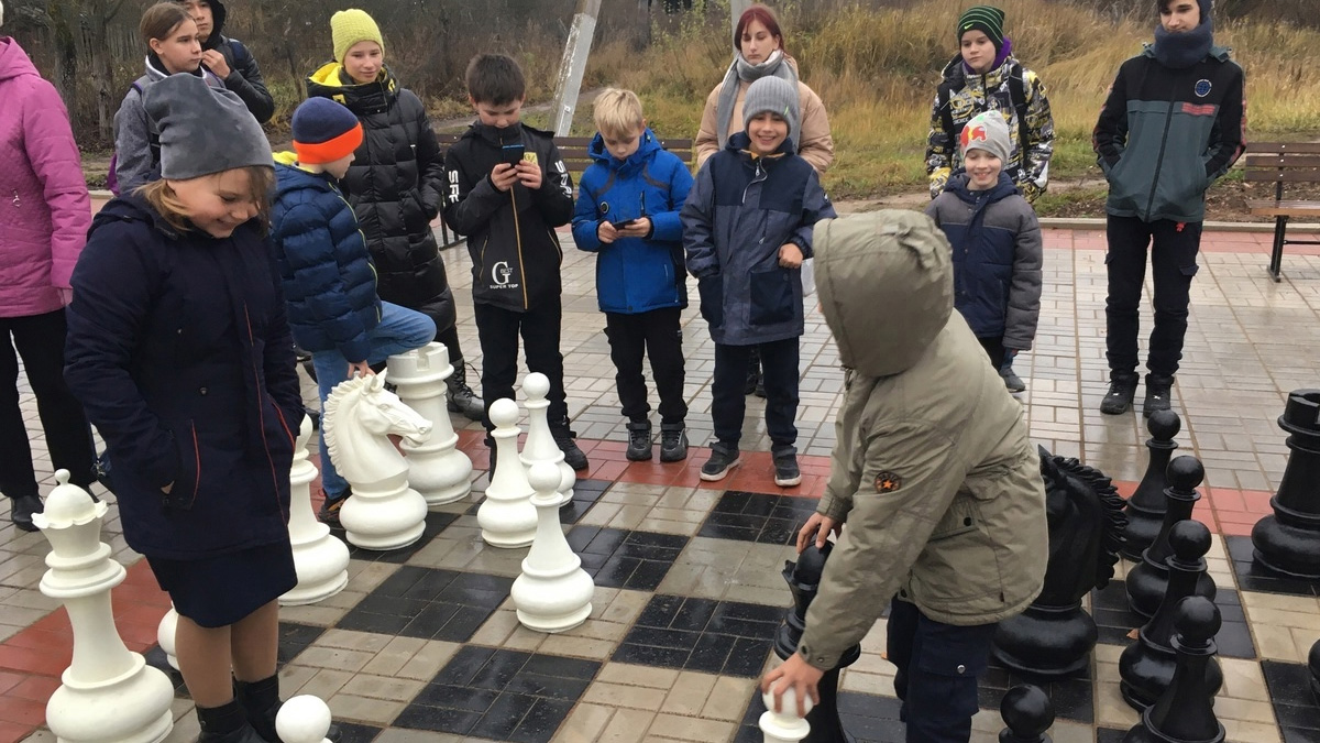 Большие шахматы в Батецком