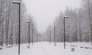 Городской парк в Малой Вишере