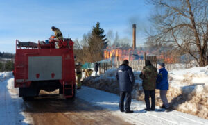 Пожар в деревне Гора