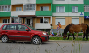 Лошадь на Славянской улице