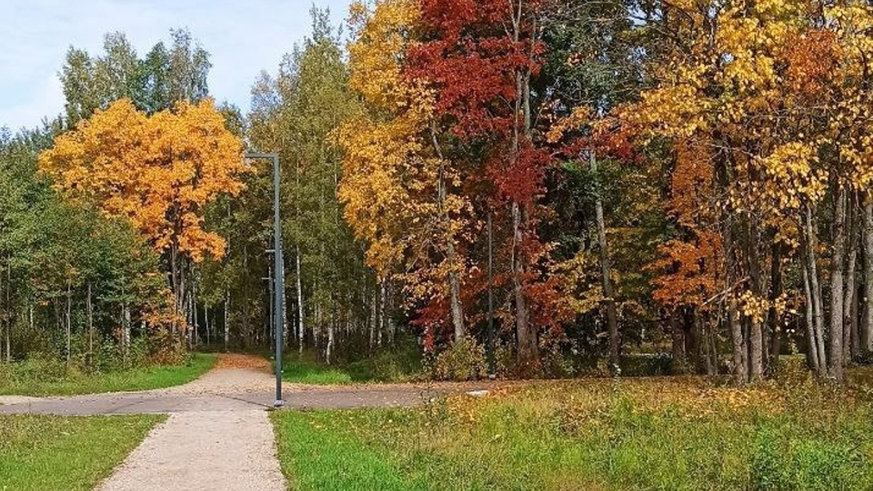 Парк у Вишерки