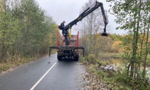 Ликвидация бобровой запруды