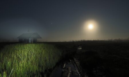 Вторая ночная поездка на болото Хлевищенский мох