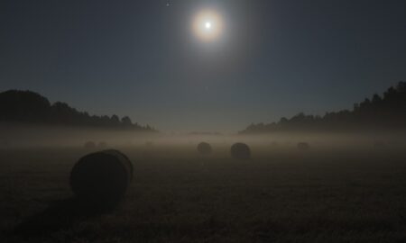 Лунная ночь в поле