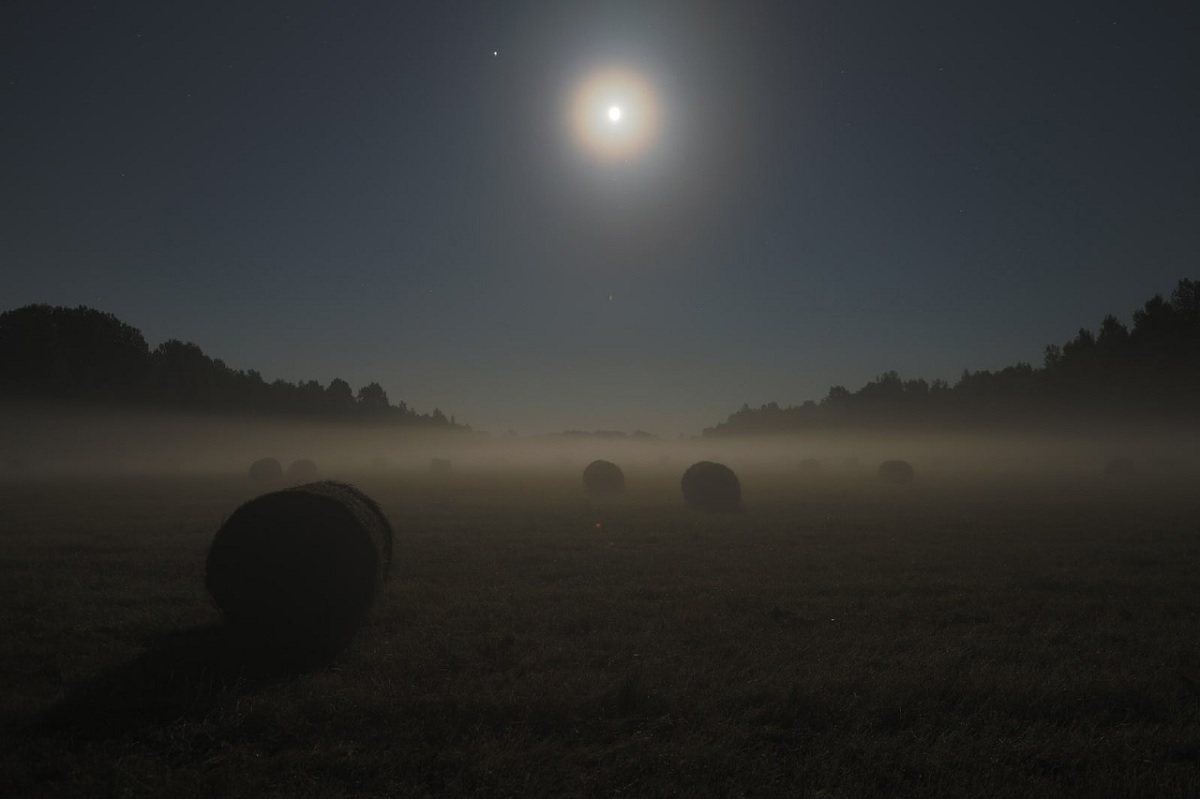 Лунная ночь в поле