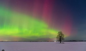 Северное сияние в Новгородском районе