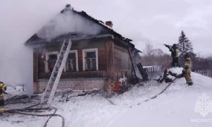 Пожар в Боровичах