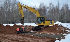 Парк в Псковском районе