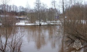 Холова в Крестцах