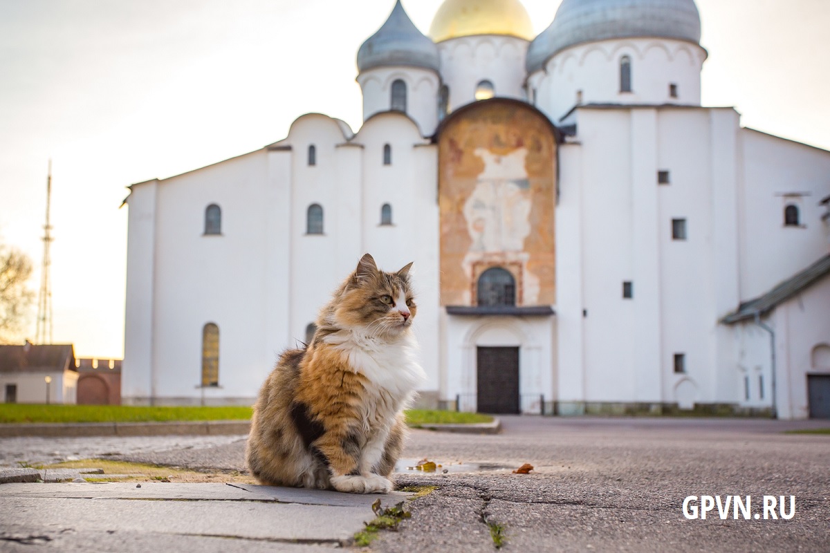 Магдебургские врата
