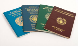 Паспорта иностранцев