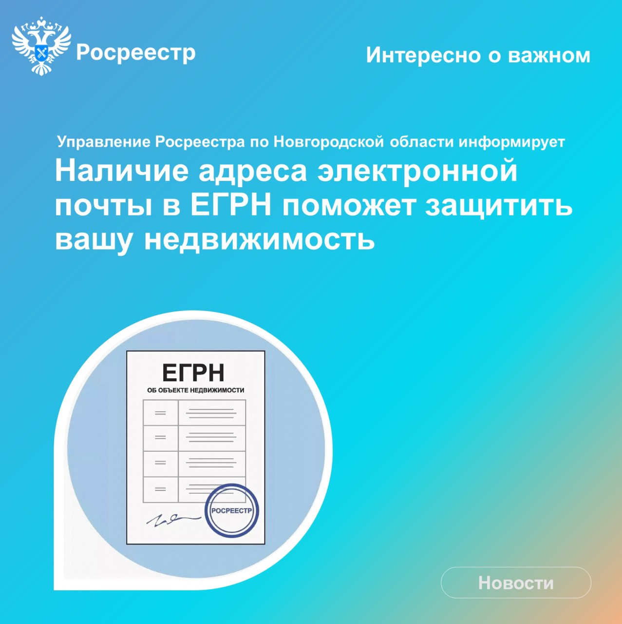 Наличие адреса электронной почты в ЕГРН поможет защитить недвижимость —  GPVN.RU