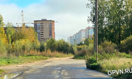 Улица профессора Сороки