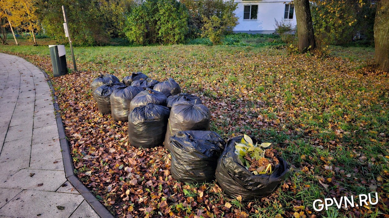 Уборка листьев на субботнике