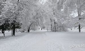 Улица Ломоносова в снегу