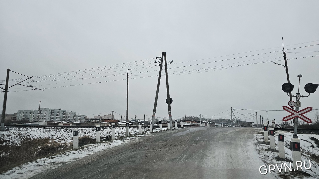 Вид в сторону Великого Новгорода и деревни Григорово