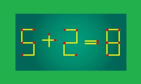 Головоломка со спичками — равенство 5+2=8 с ошибкой