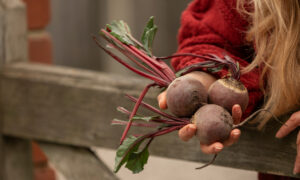 Девушка держит свежую свеклу - способы хранения урожая в квартире