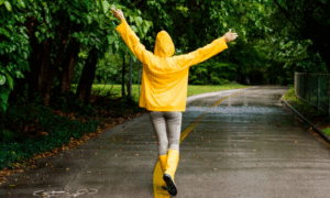 Снимок экрана 2025-09-29 в 18.17.24