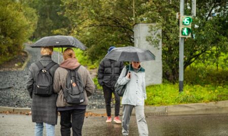 Пешеходы во время дождя.