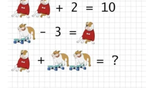 Задача с собачками