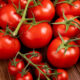 помидоры