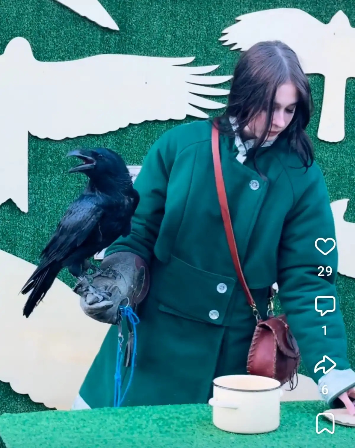 alt ворон сидит на руках у девушки
