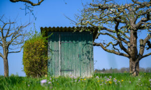 Дачный туалет стоит на улице рядом с деревьями