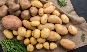 Сырой картофель лежит на столе