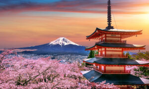 Весенняя Япония, цветущая сакура и вид на заснеженную гору
