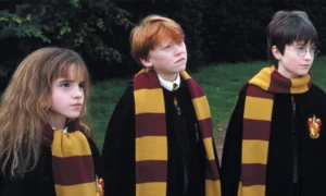 Гарри, Рон и Гермиона слушают Хагрида