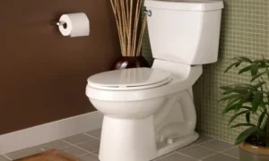 Унитаз дома