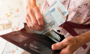 Пенсионерка считает деньги