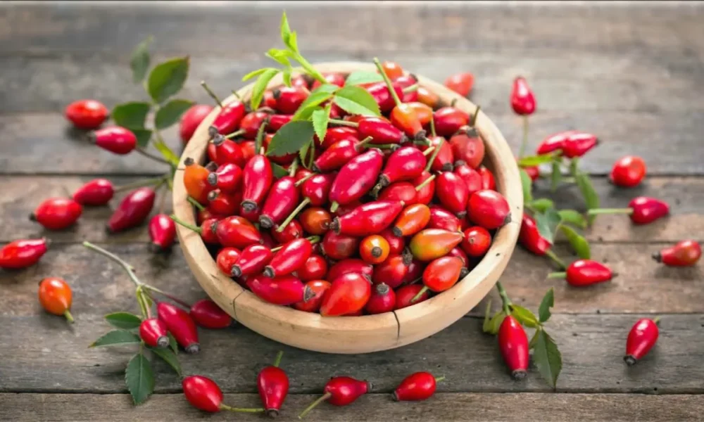 Шиповник на столе