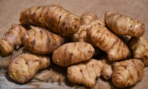 Топинамбур