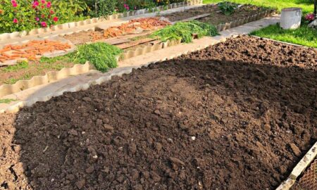 Земля в огороде