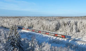 Поезд в снегах