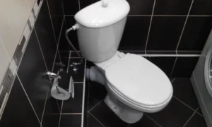 Унитаз в ванной