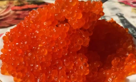 Красная икры