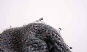 Свитер в катышках