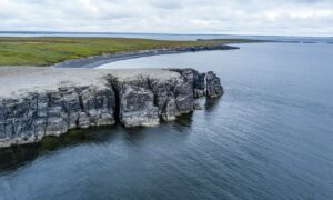 остров Вайгач