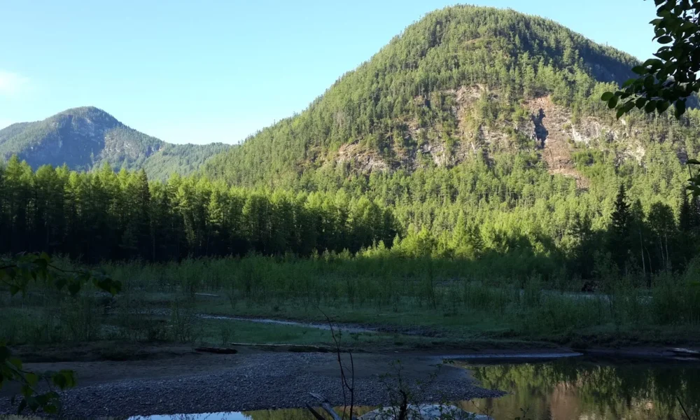 Тофалария в Иркутской области