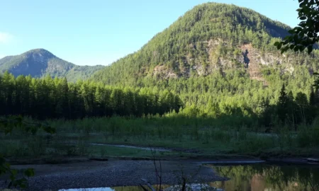 Тофалария в Иркутской области