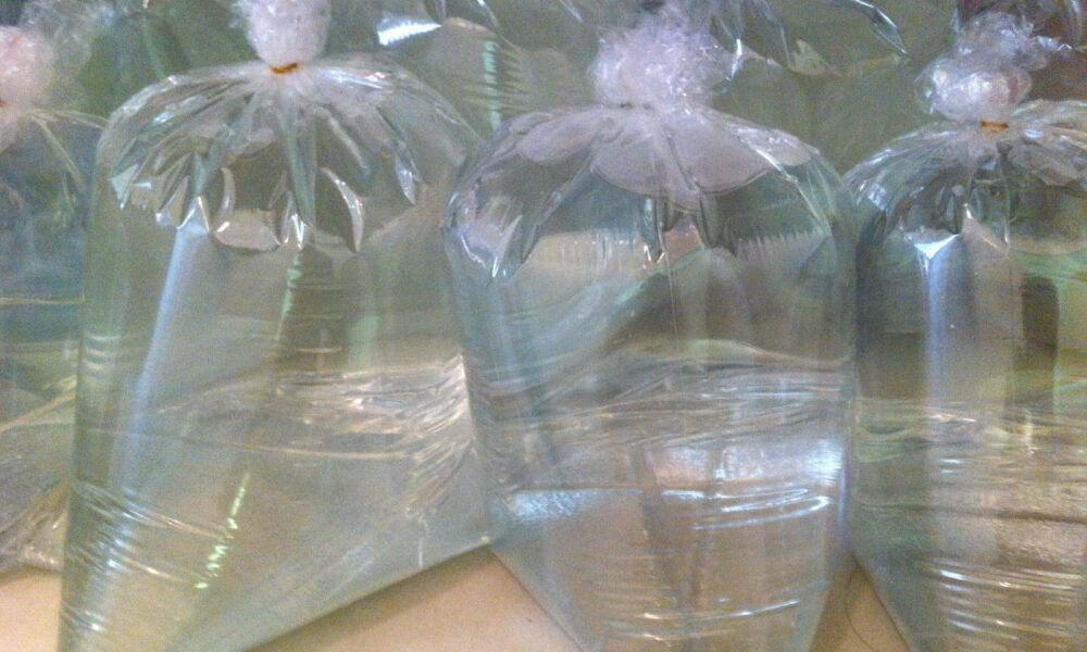 Пакет с водой