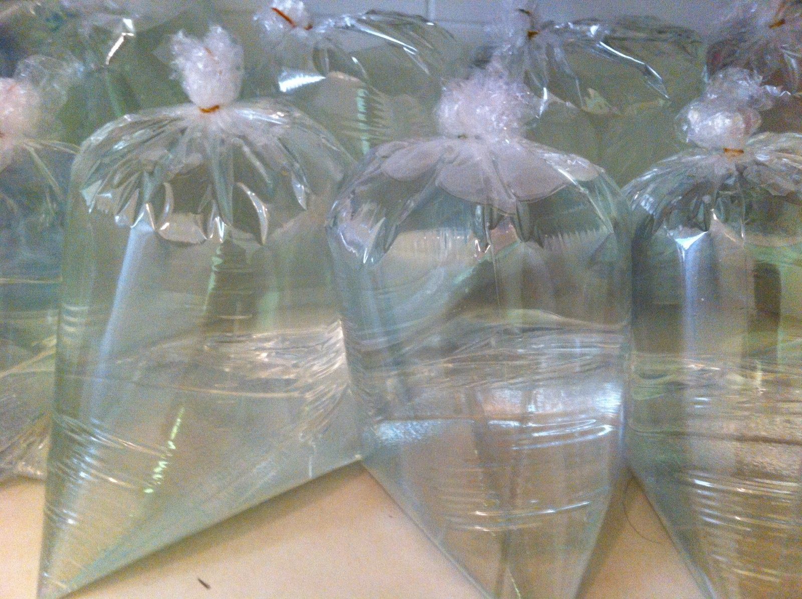 Пакет с водой