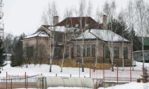 Особняк Ларисы Долиной