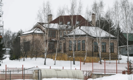 Особняк Ларисы Долиной