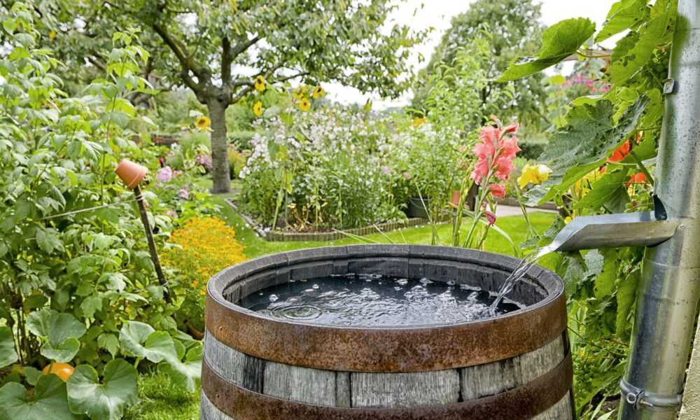 Деревянная бочка в саду