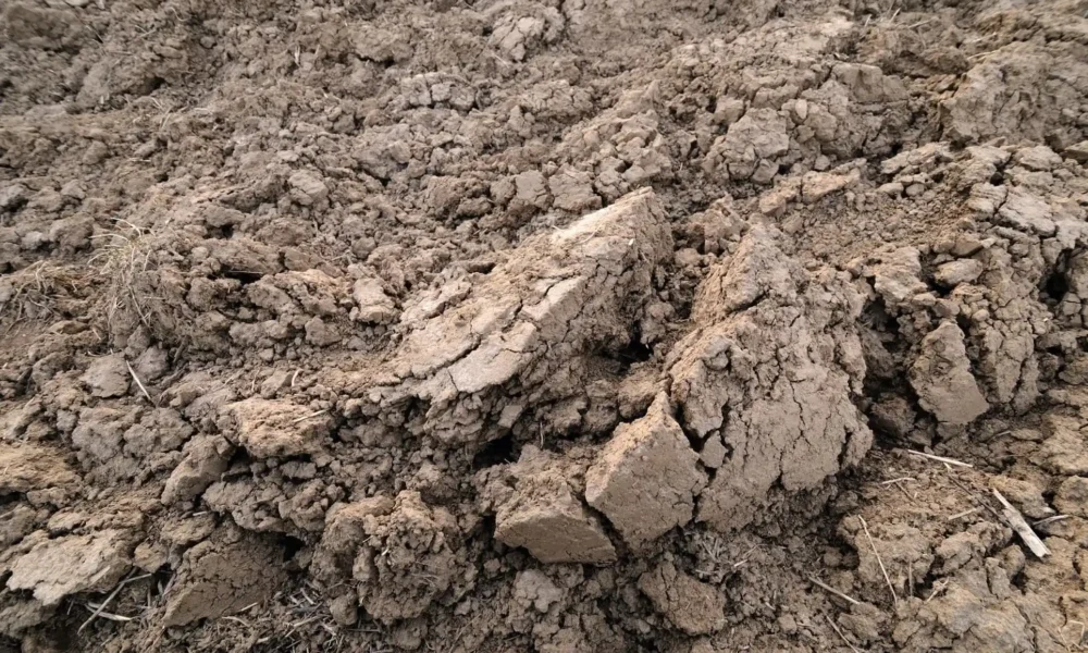 Глинистая почва